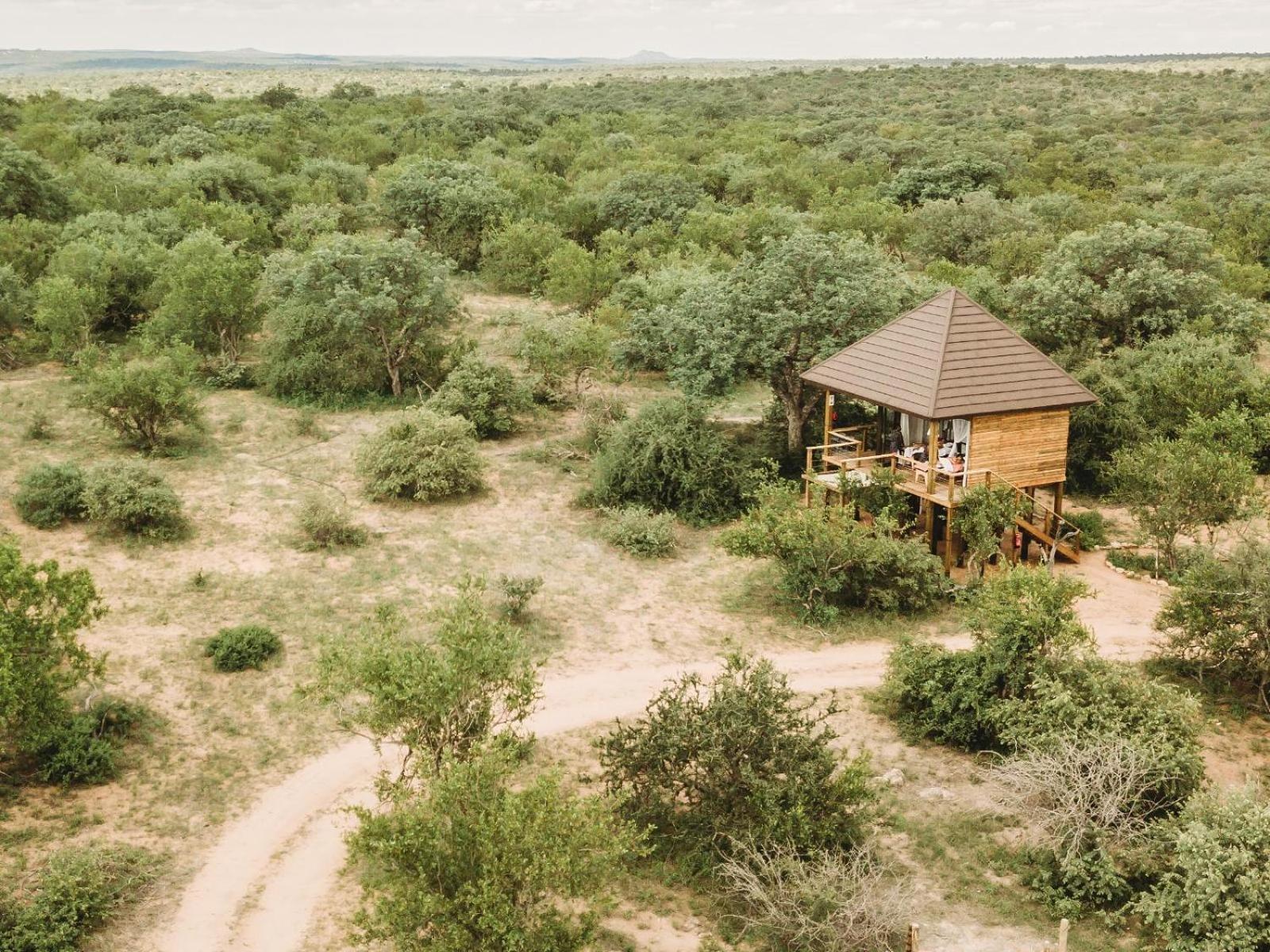 Maroelani Lodge- Greater Kruger Private Reserve Hoedspruit Quarto foto